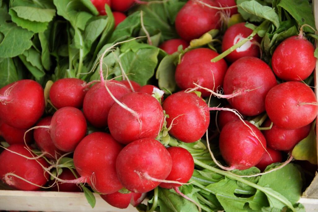 Top 10 Easy & Healthy Vegetable in the Garden: Delicious Picks for Your Home
